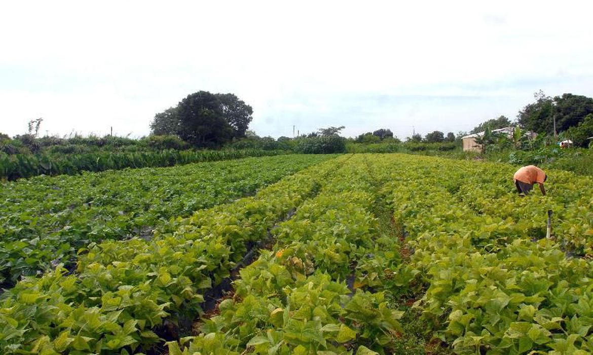 Photo of Banco do Brasil reforça linhas de crédito rural com R$ 1 bilhão