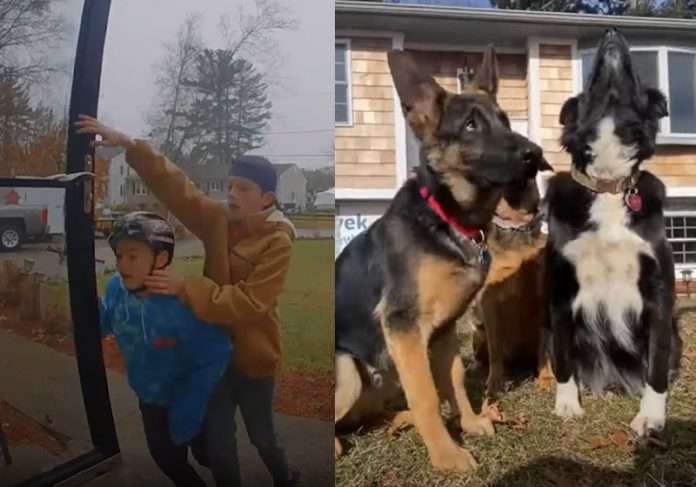 Photo of Vídeo de meninos salvando 3 cães de incêndio viraliza