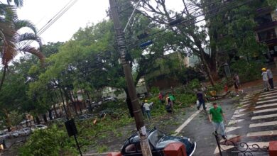 Photo of Tempestade da tarde causa estragos em Lavras